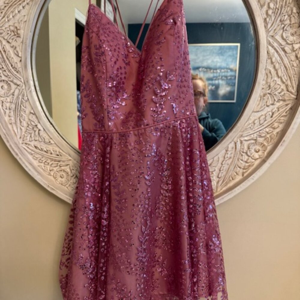 Rose Sequin Short Dress - Corset Back - Blondie by Stacy Sklar - Size 11